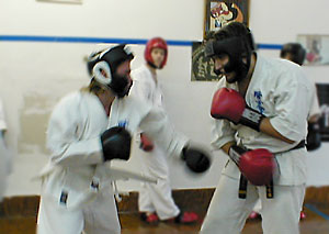 flurry of Punches